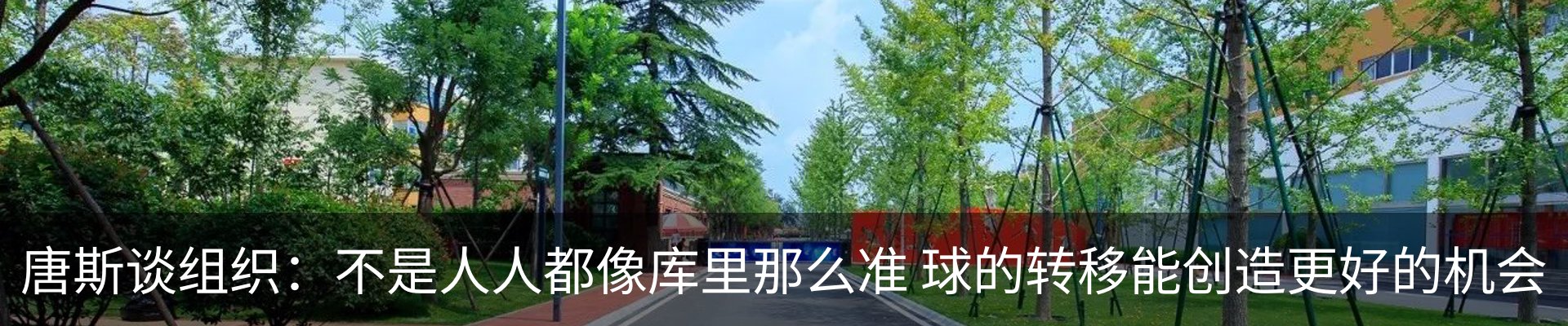 最新动态