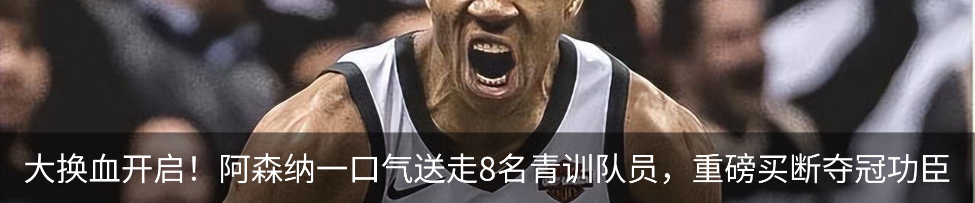 最新动态